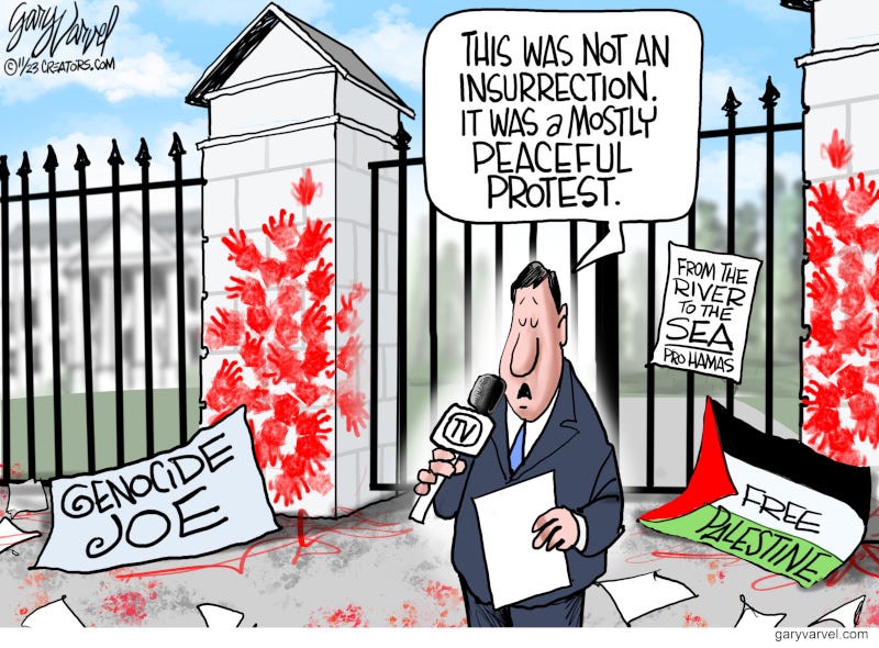 Gary Varvel: Mostly peaceful protesters