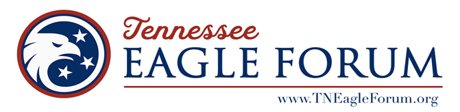 Tennessee Legislative Update, February 11, 2024